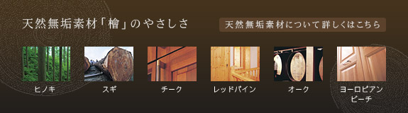 �V�R���C�f�ށu�w�v�̂₳����