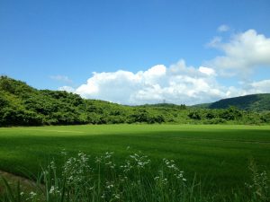 地域のこと