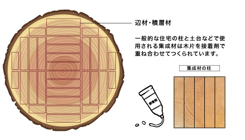 辺材