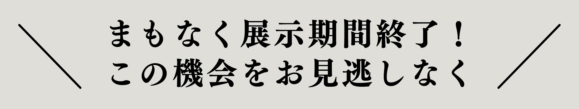 平屋モデルハウス告知