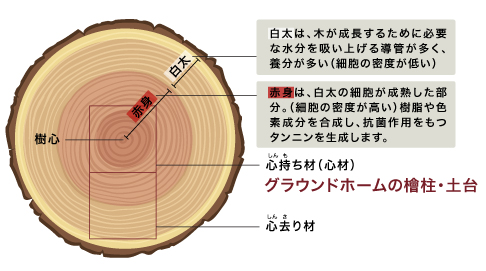 芯持ち材